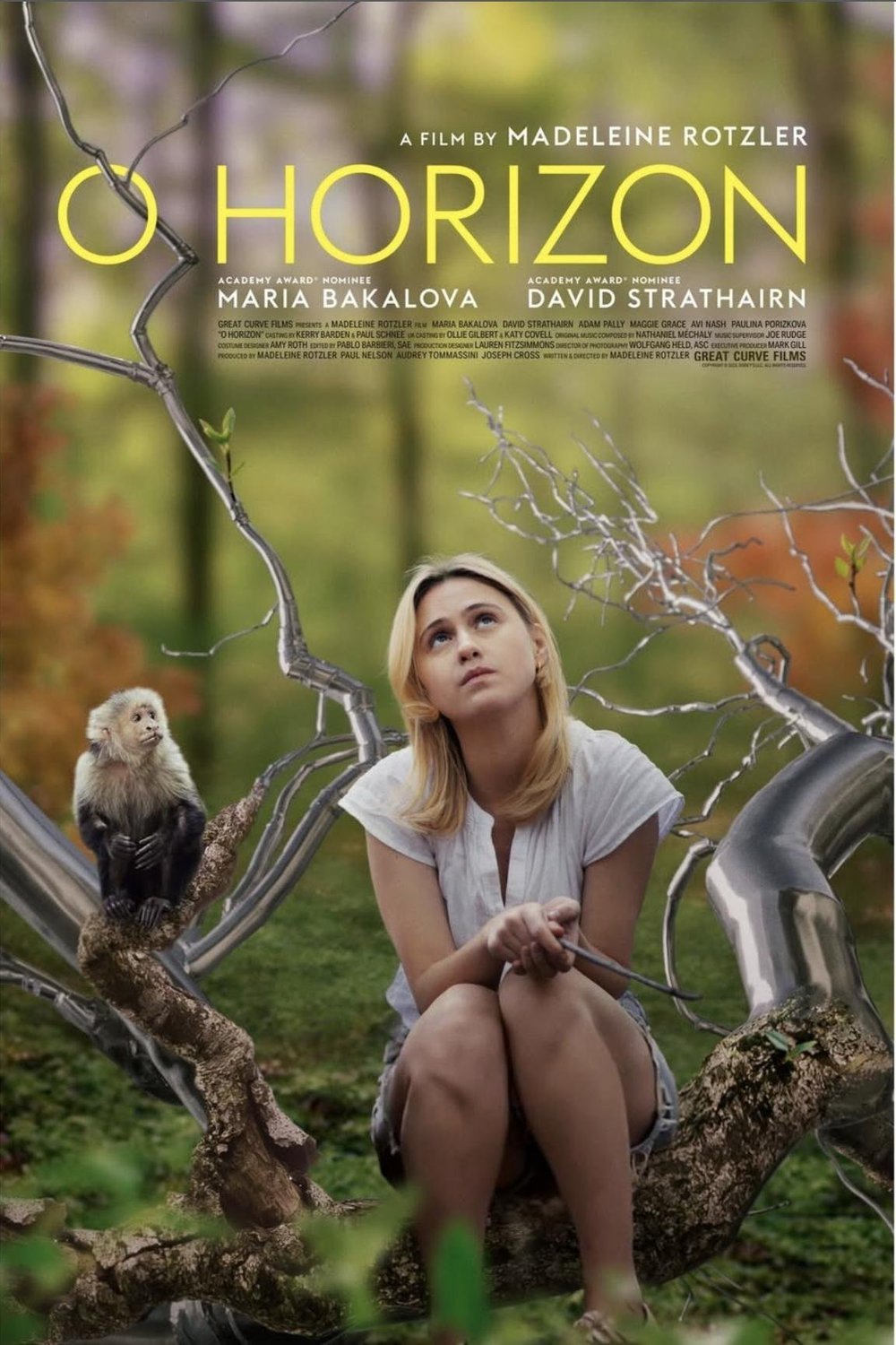 L'affiche du film O Horizon
