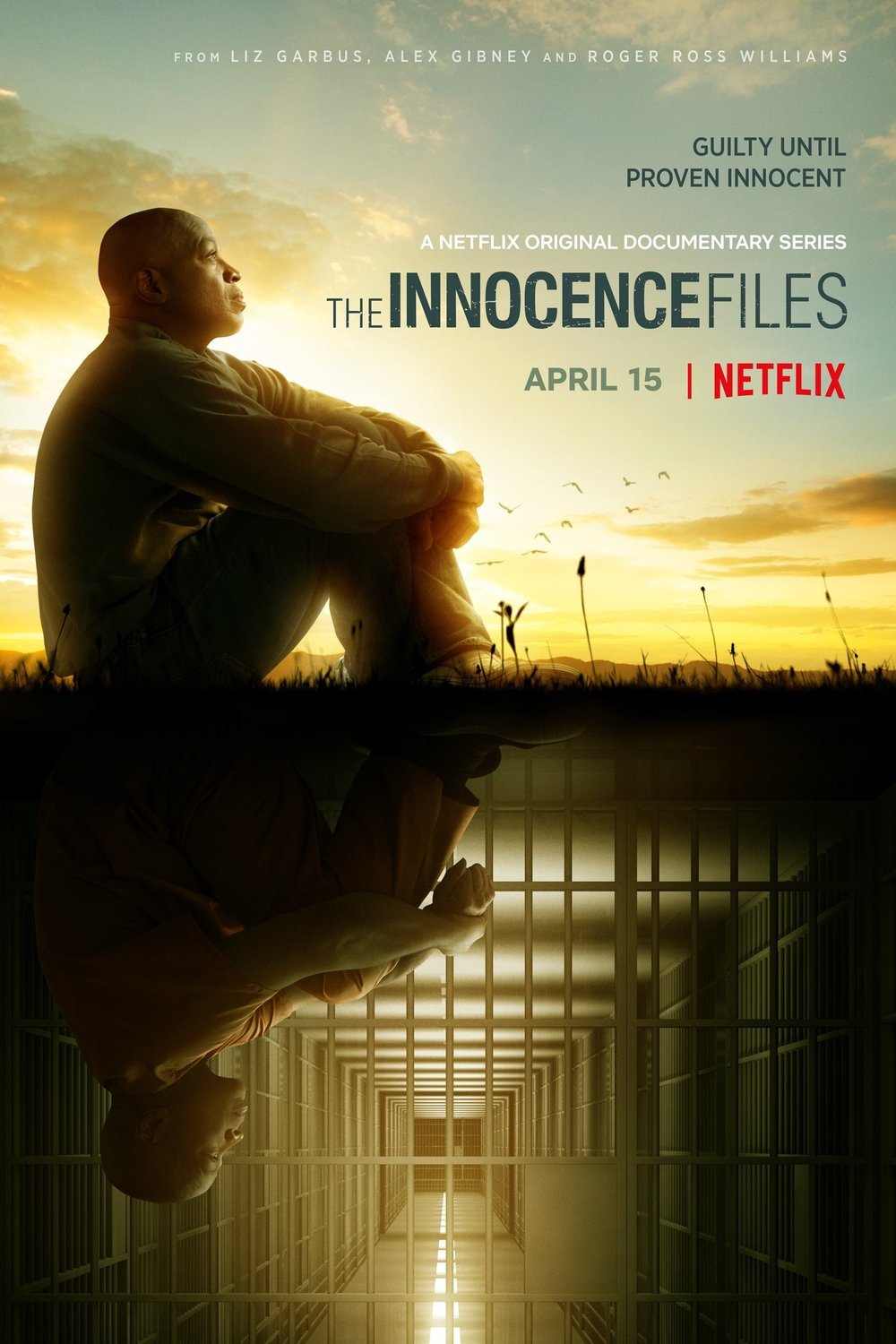 Poster of the movie The Innocence Files [2020]