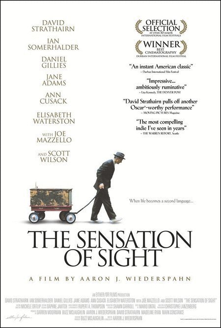 Poster of the movie The Sensation of Sight
