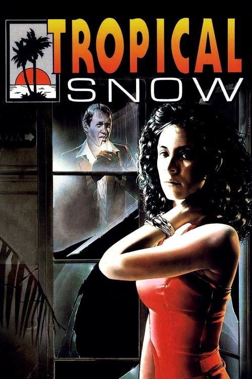 L'affiche du film Tropical Snow