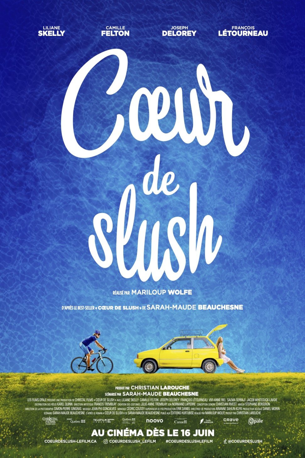 Poster of the movie Coeur de slush