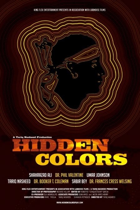 Poster of the movie Hidden Colors