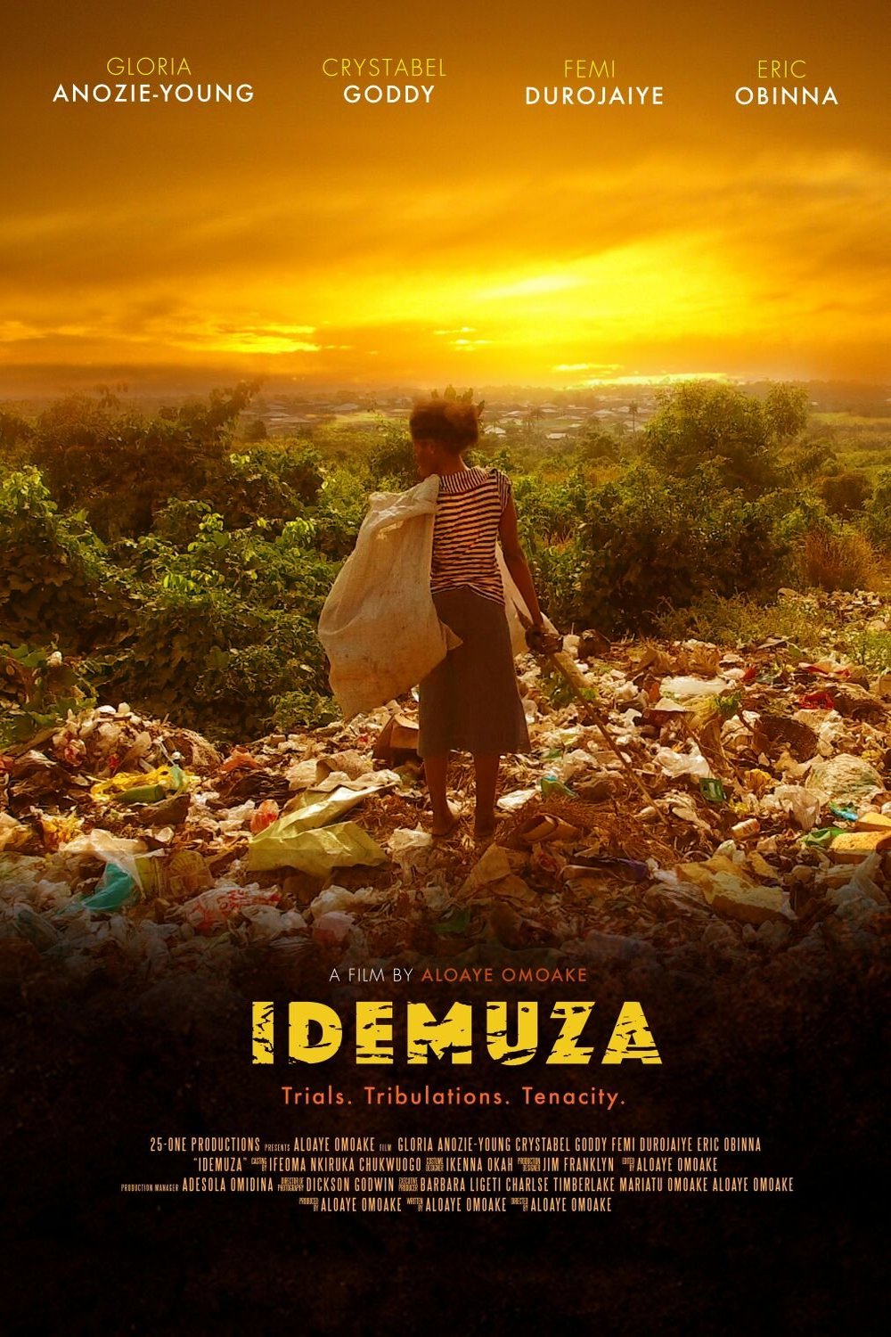 Poster of the movie Idemuza