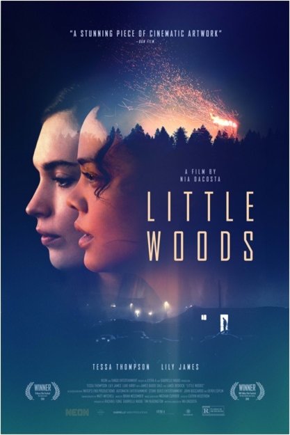 L'affiche du film Little Woods