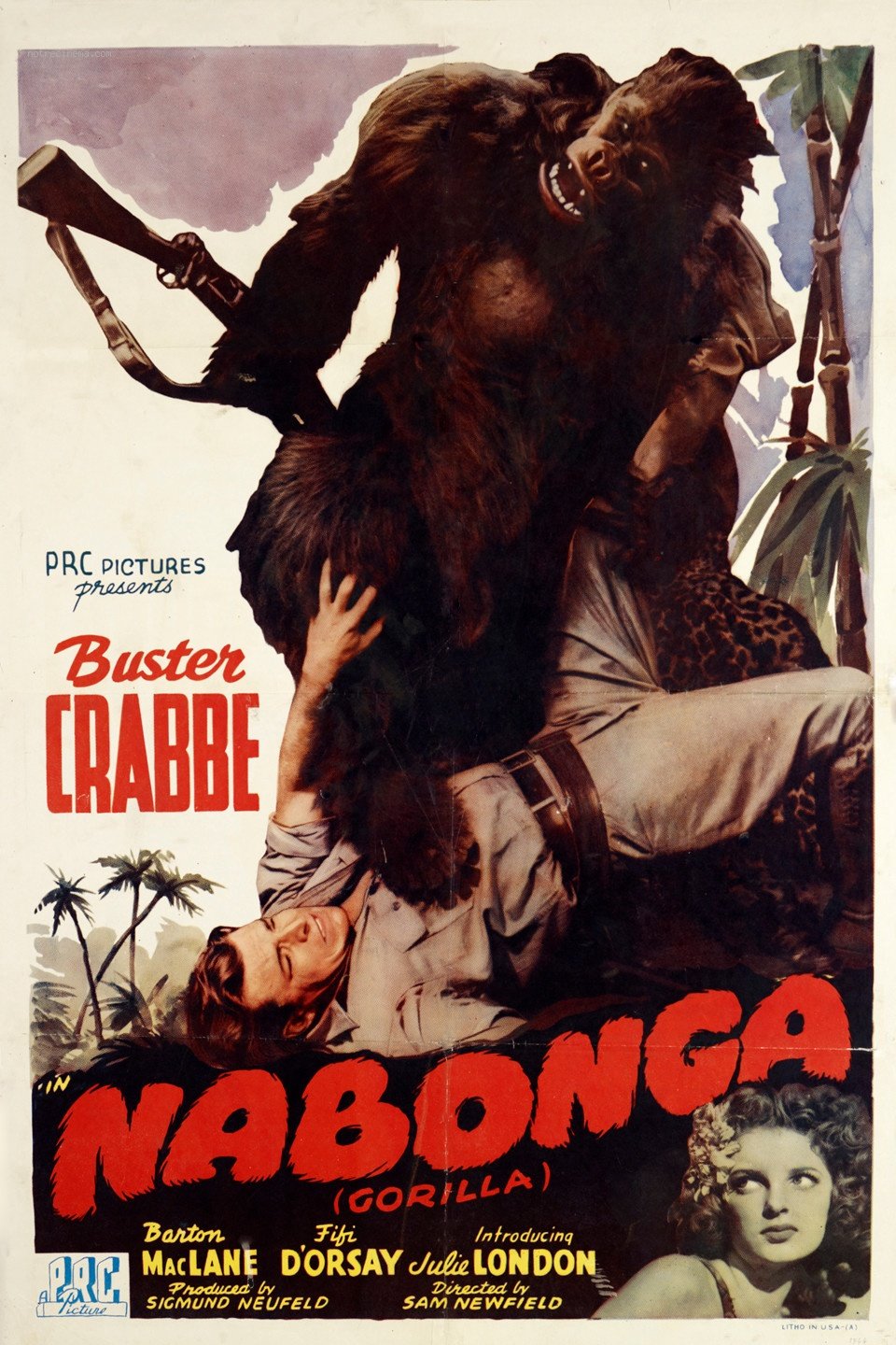 L'affiche du film Nabonga