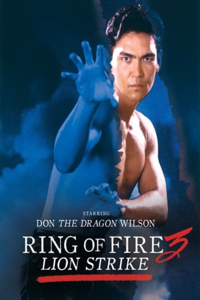 L'affiche du film Ring of Fire 3: Lion Strike