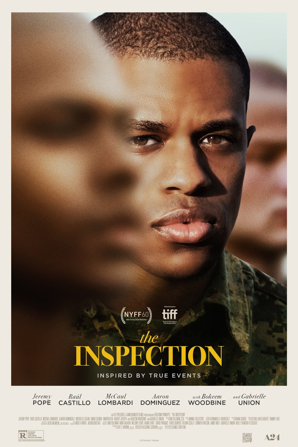Poster of the movie The Inspection