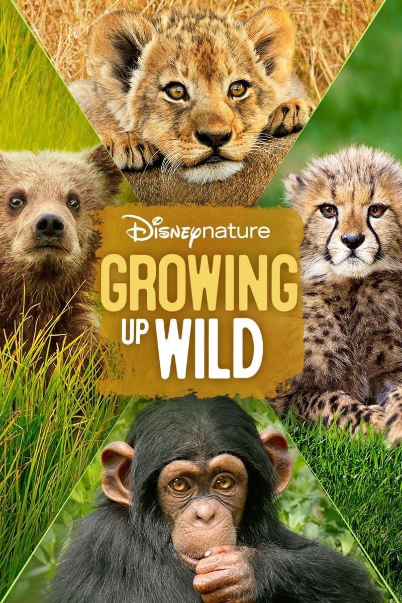Poster of the movie Growing Up Wild