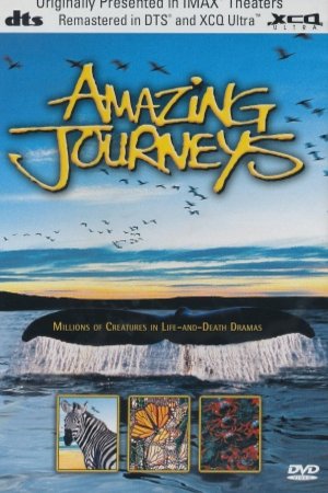 L'affiche du film Amazing Journeys