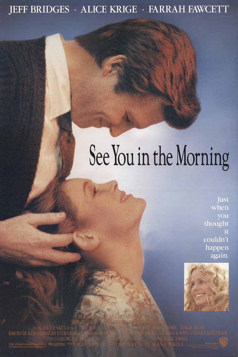 Poster of the movie See You in the Morning