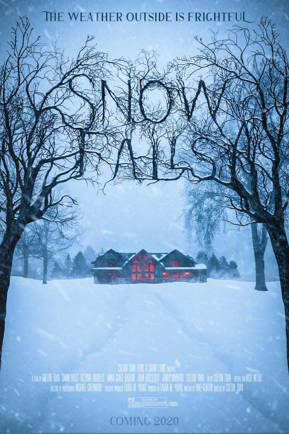 L'affiche du film Snow Falls