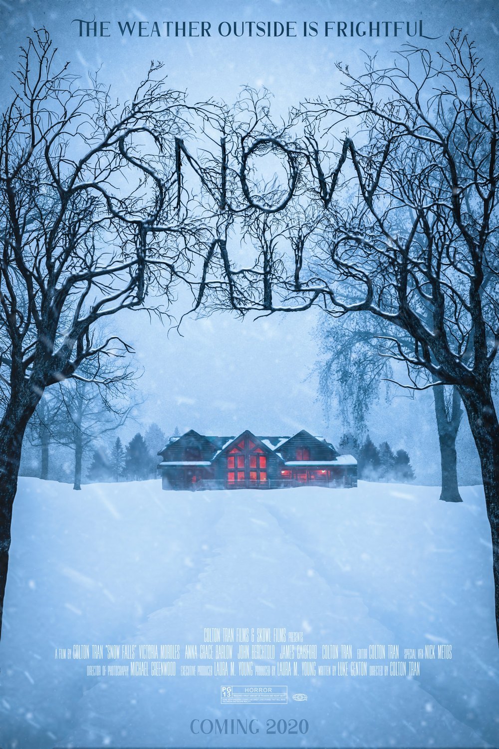 L'affiche du film Snow Falls [2022]