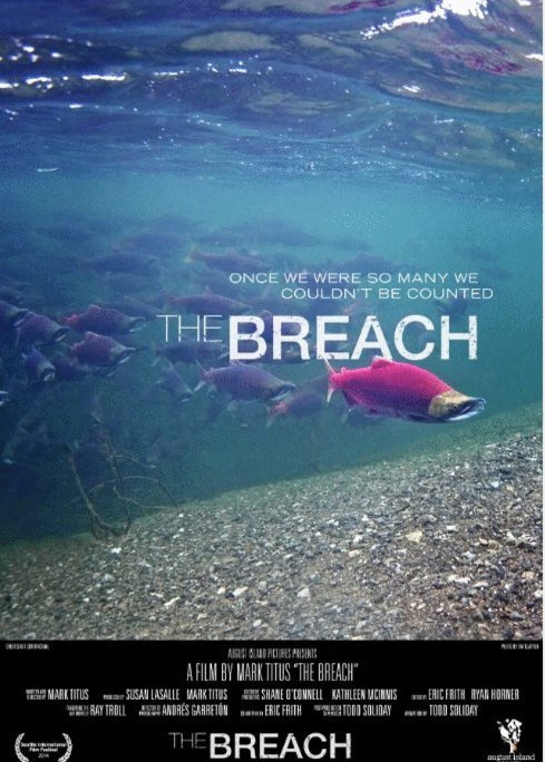 L'affiche du film The Breach