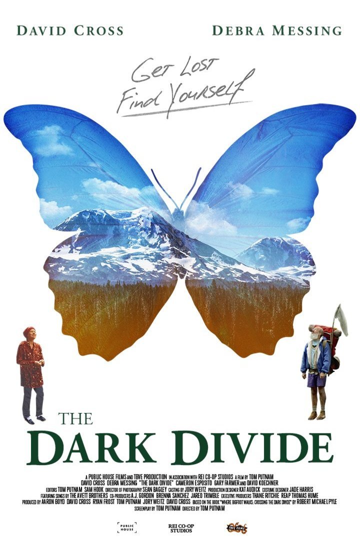 L'affiche du film The Dark Divide