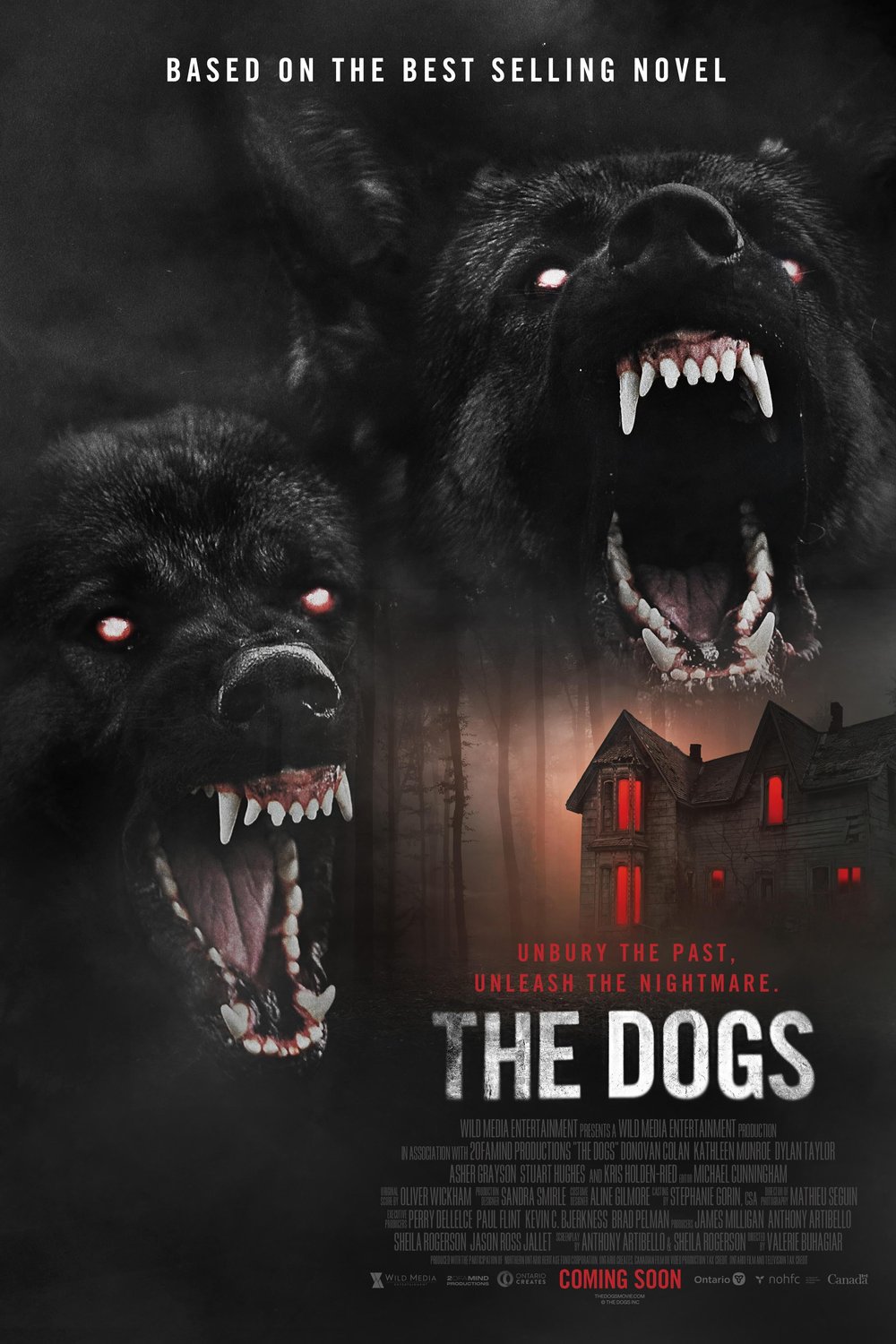 L'affiche du film The Dogs [2025]