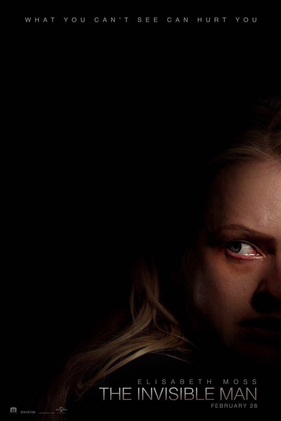 Poster of the movie The Invisible Man