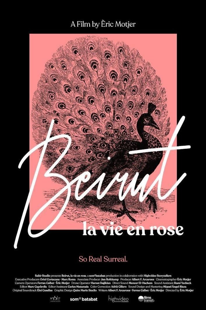 L'affiche du film Beirut, la vie en rose