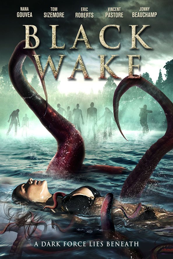 L'affiche du film Black Wake