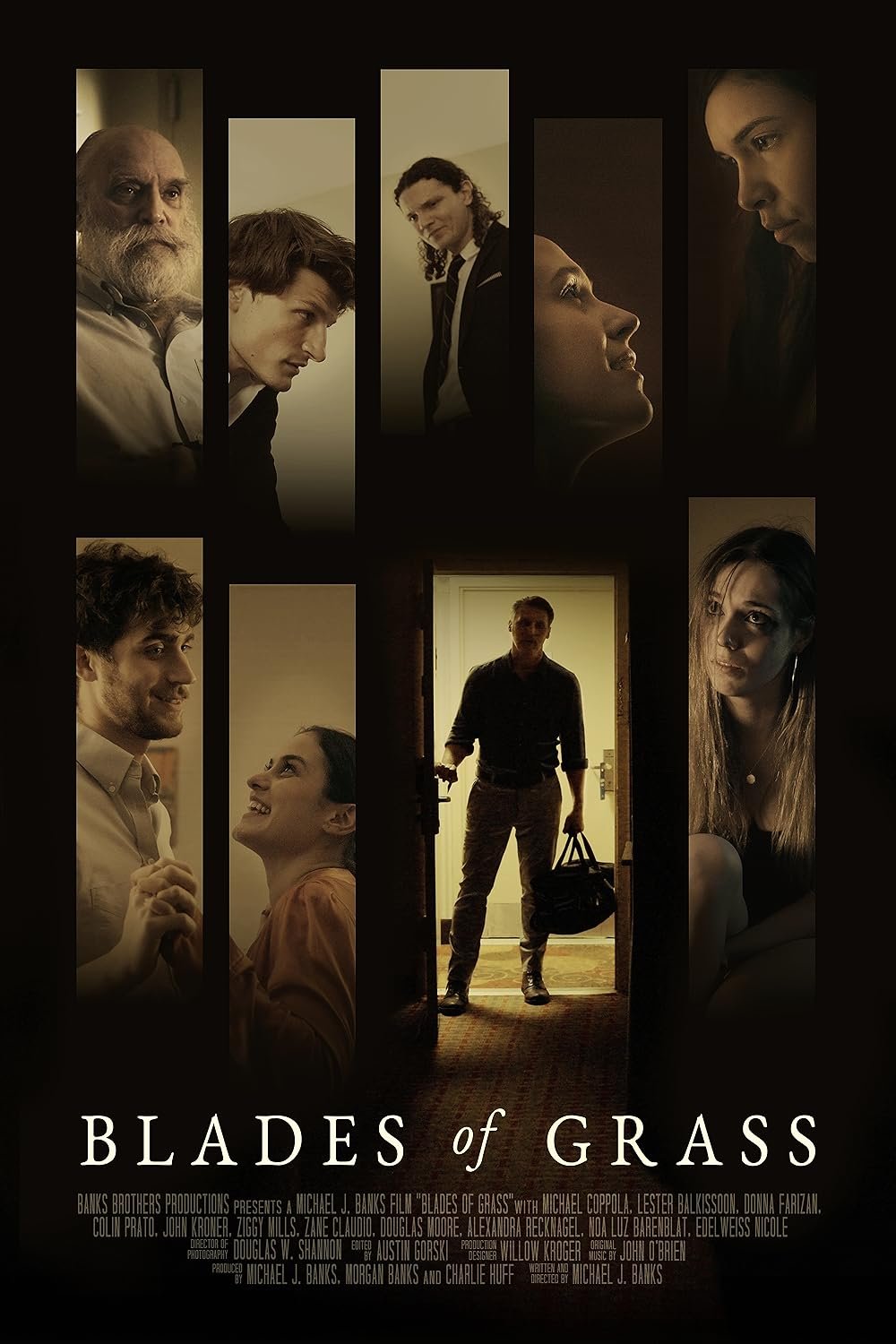 Poster of the movie Blades of Grass [2024]