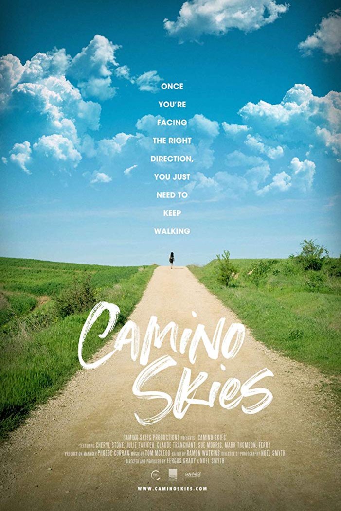 Poster of the movie Camino Skies