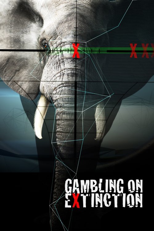Poster of the movie Gambling on Extinction