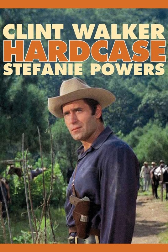 Poster of the movie Hardcase