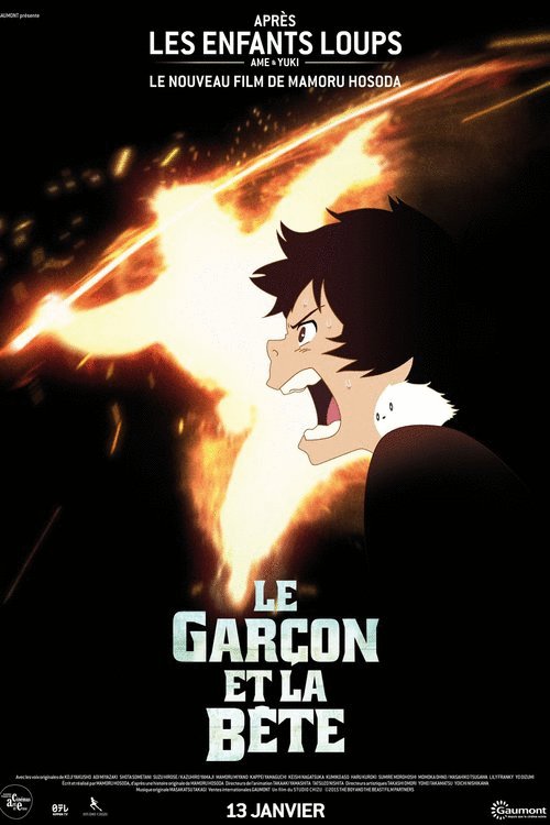 Poster of the movie Le garçon et la bête [2015]