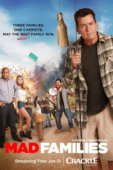 Poster of the movie Mad Families
