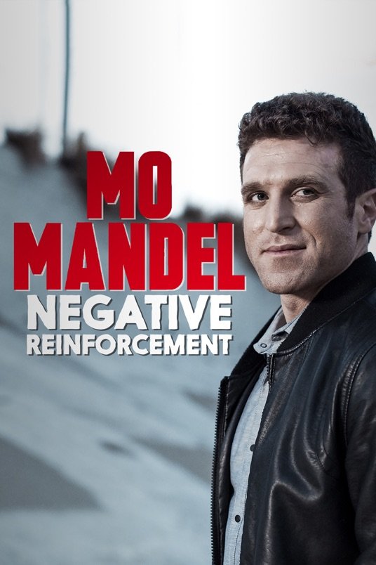 L'affiche du film Mo Mandel: Negative Reinforcement