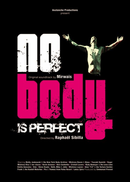 Poster of the movie No Body Is Perfect