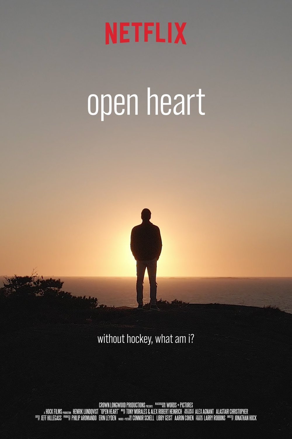 L'affiche du film Open Heart