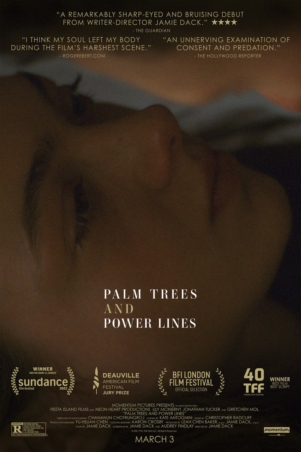 L'affiche du film Palm Trees and Power Lines [2022]