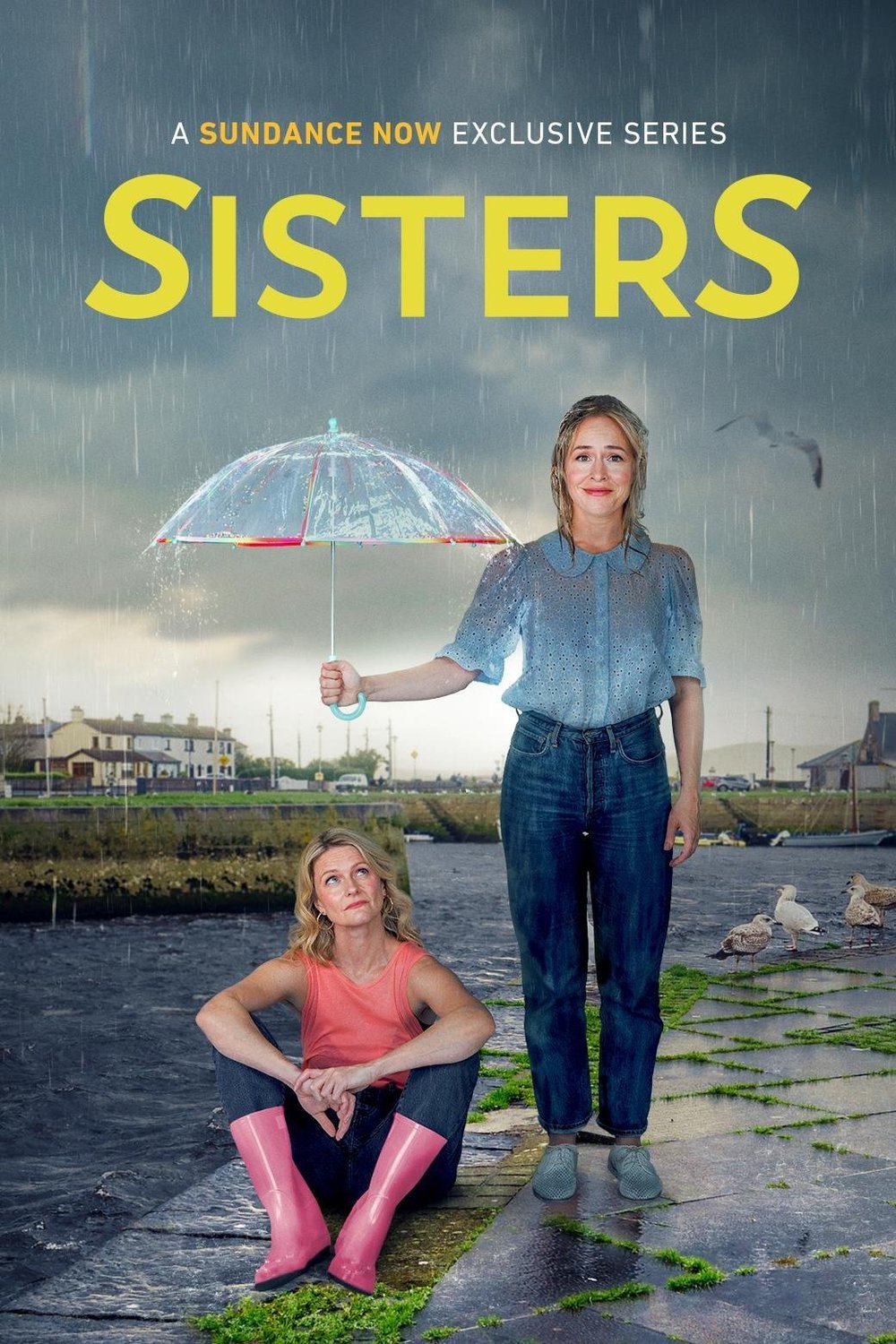 L'affiche du film SisterS