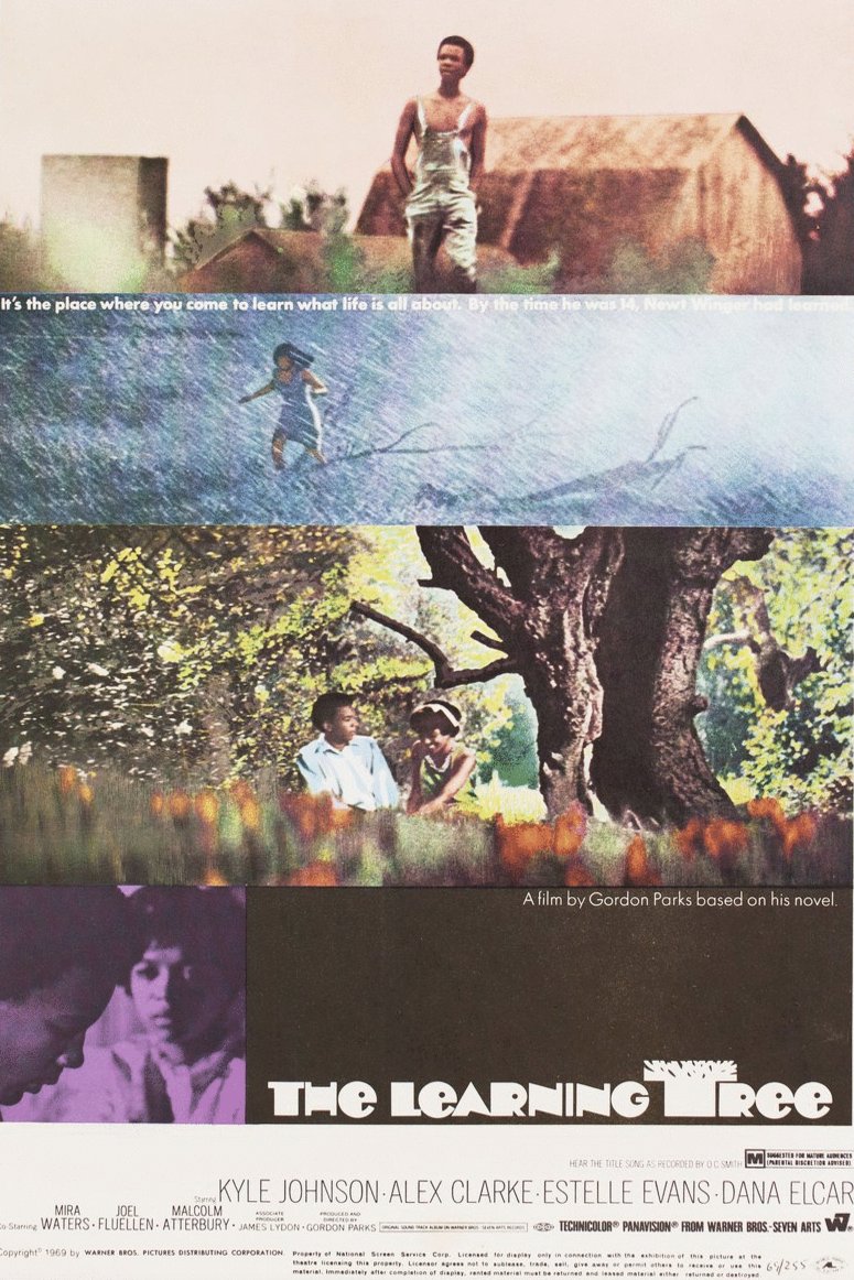 Poster of the movie The Learning Tree [1969]