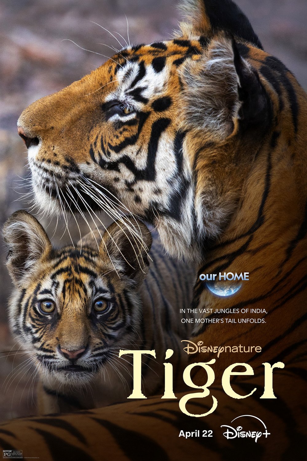 L'affiche du film Tiger