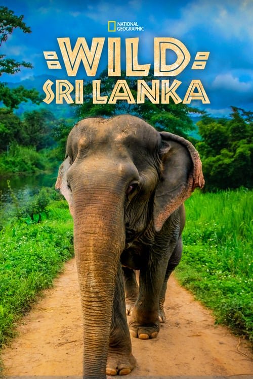 L'affiche du film Wild Sri Lanka