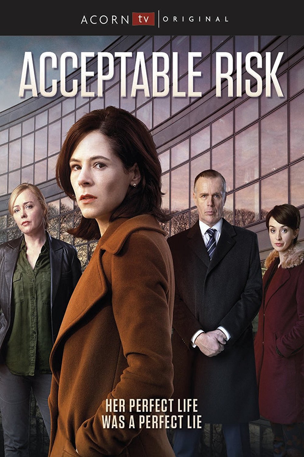 L'affiche du film Acceptable Risk