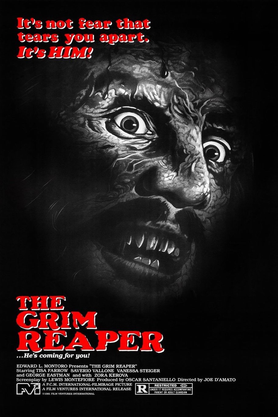 Poster of the movie Antropophagus [1980]