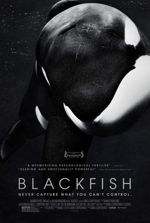 L'affiche du film Blackfish