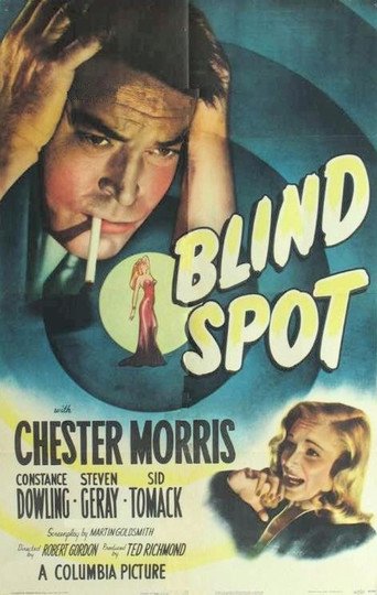 L'affiche du film Blind Spot