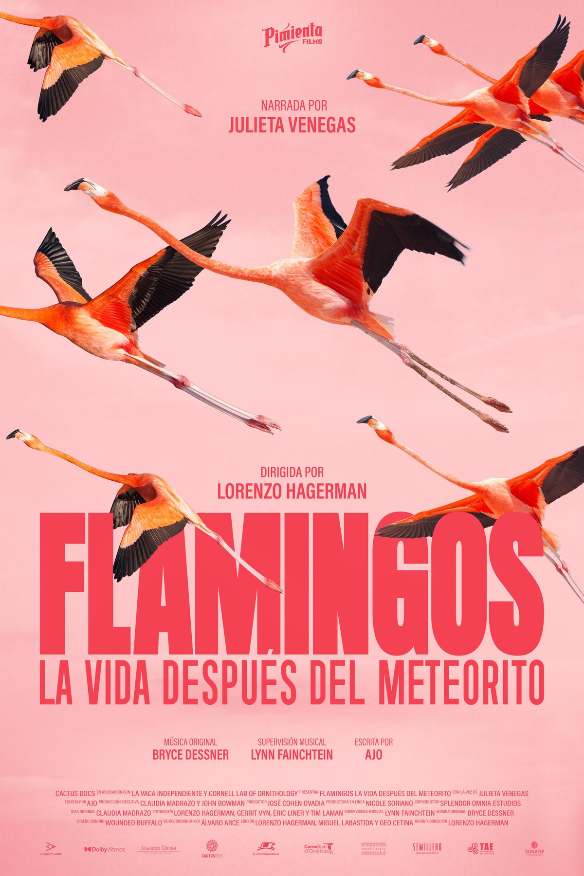 Poster of the movie Flamingos: Life After the Meteorite [2025]