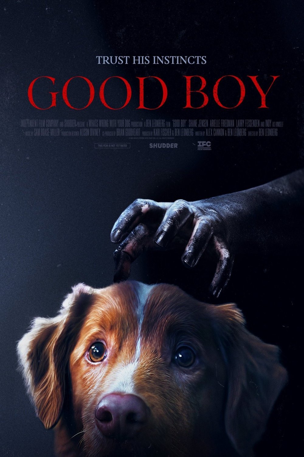 Poster of the movie Good Boy