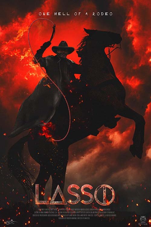 L'affiche du film Lasso