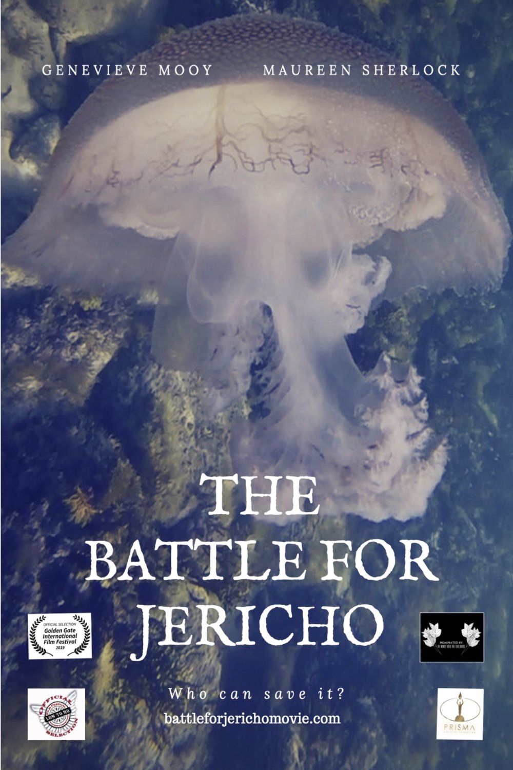 L'affiche du film The Battle for Jericho