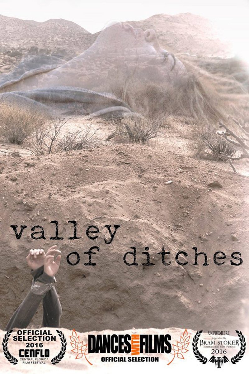 L'affiche du film Valley of Ditches