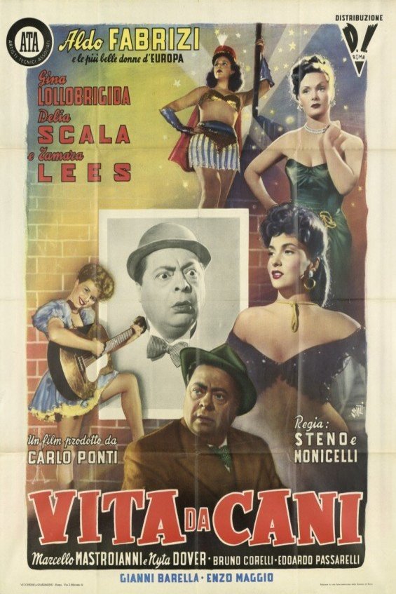 L'affiche du film Vita da cani