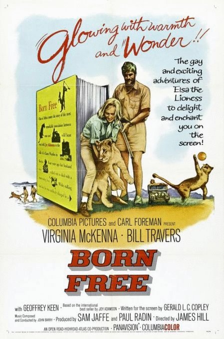 L'affiche du film Born Free