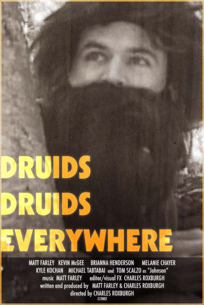 L'affiche du film Druids Druids Everywhere