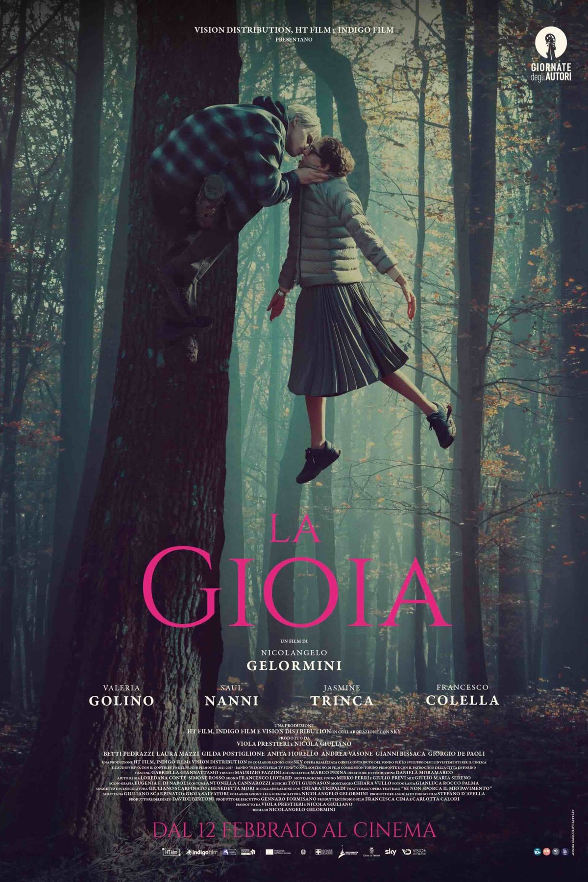 Poster of the movie La gioia