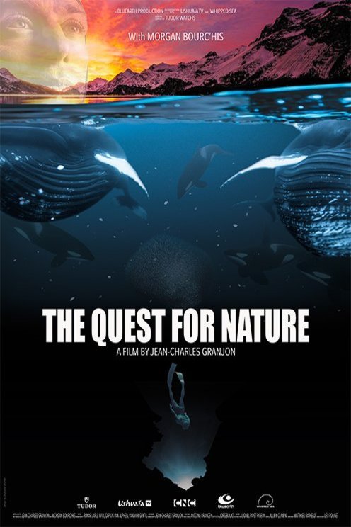 L'affiche du film La Quête du sauvage [2020]